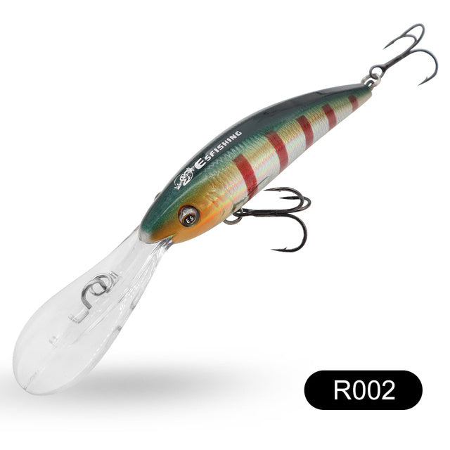 Fishing Baits & Lures 