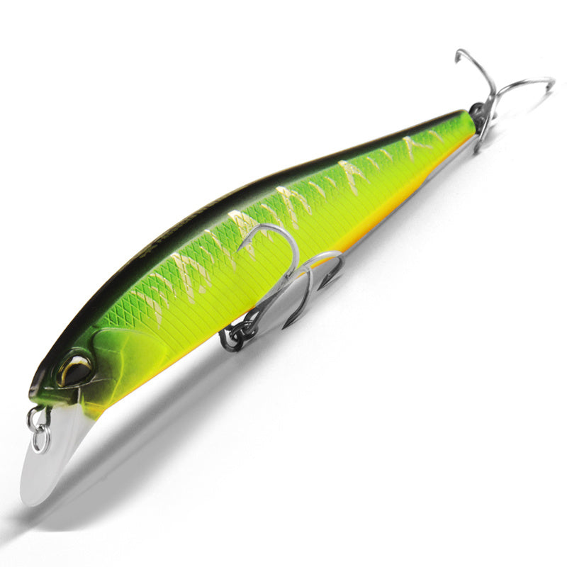 Fishing Baits & Lures 