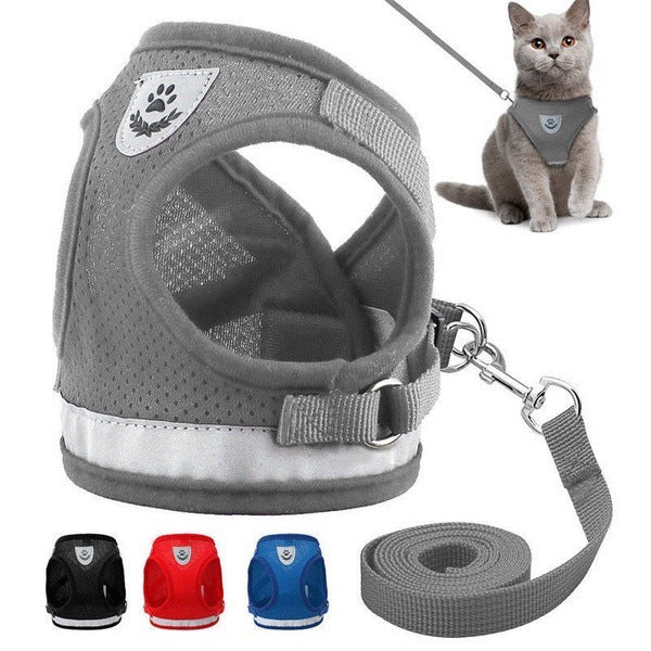 Pet Collars & Harnesses