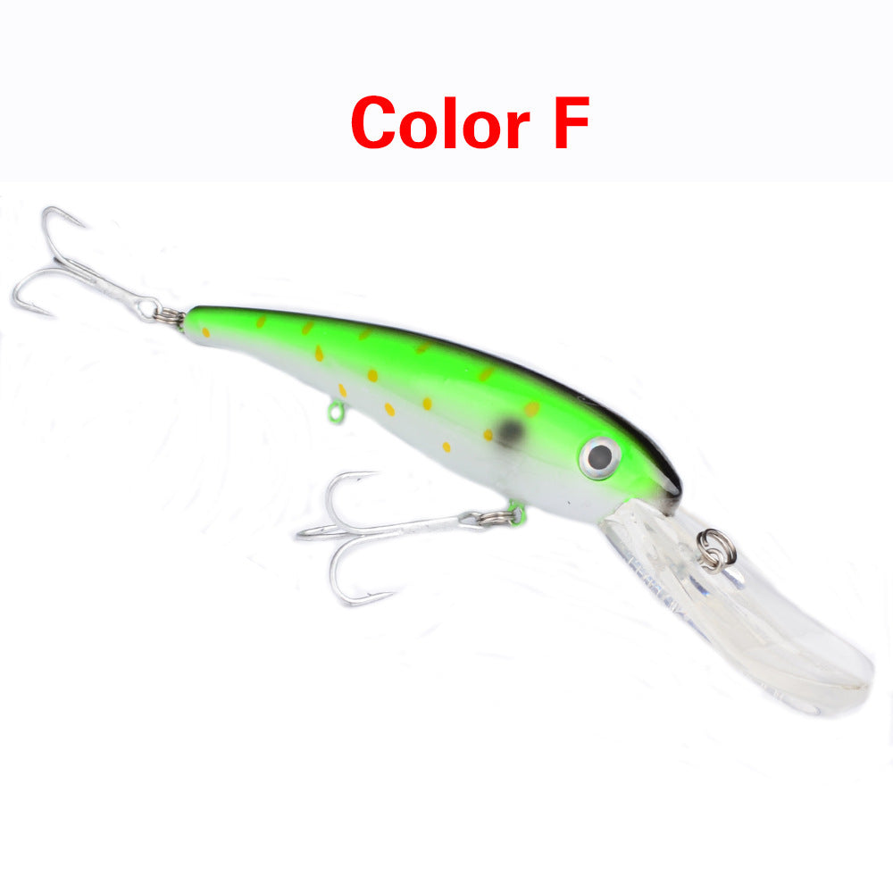 Fishing Baits & Lures