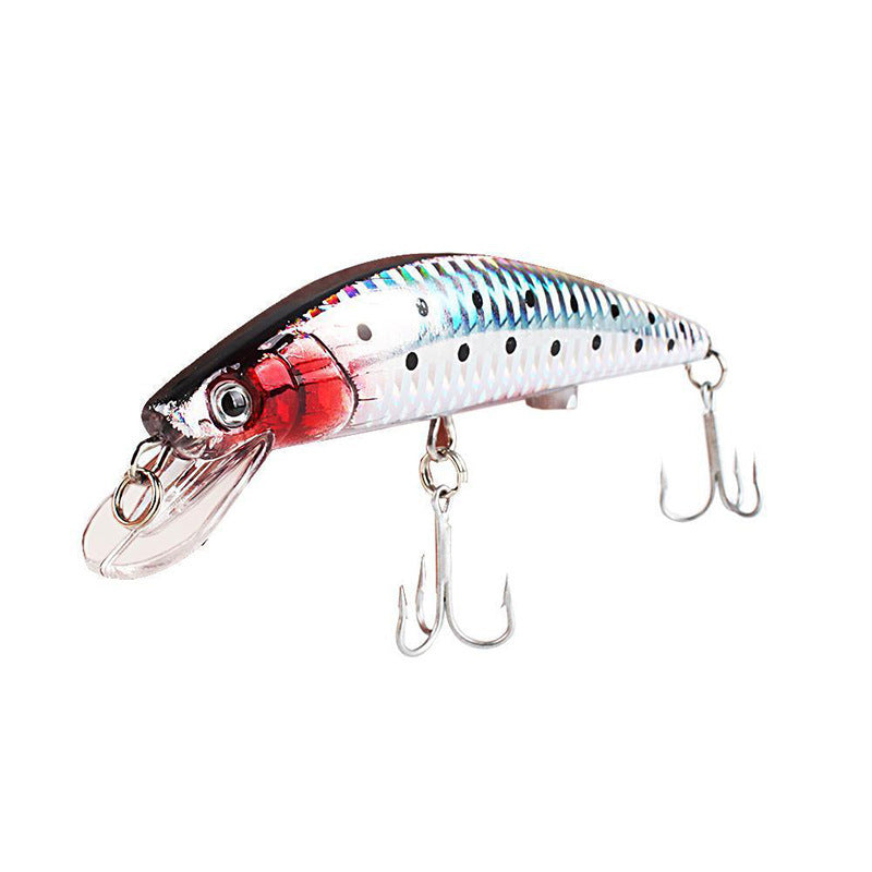 Fishing Baits & Lures