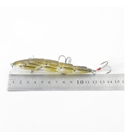 Fishing Baits & Lures 