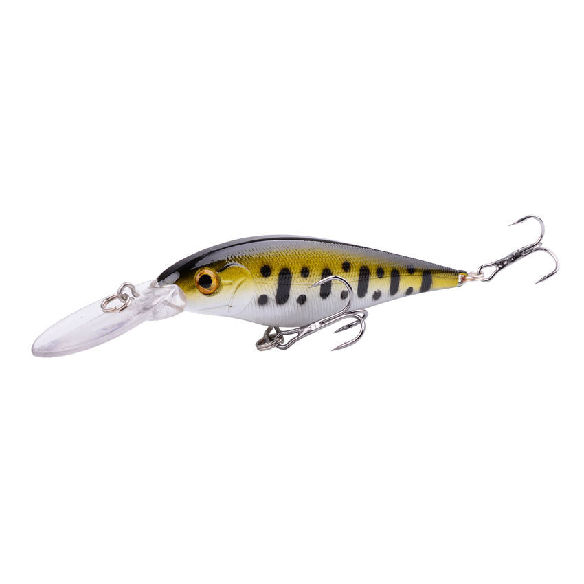 Fishing Baits & Lures