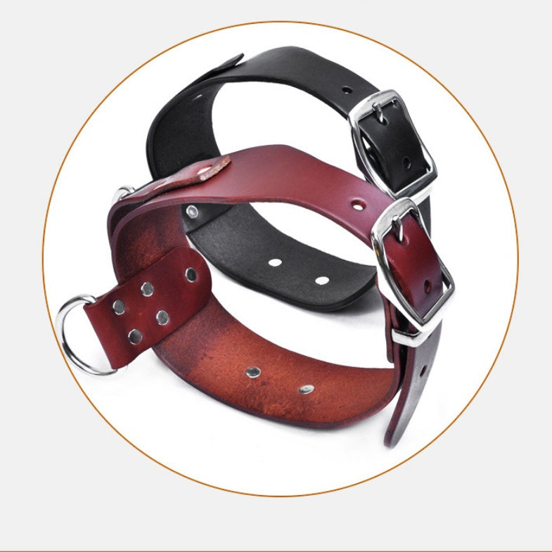 adjustable pet collar