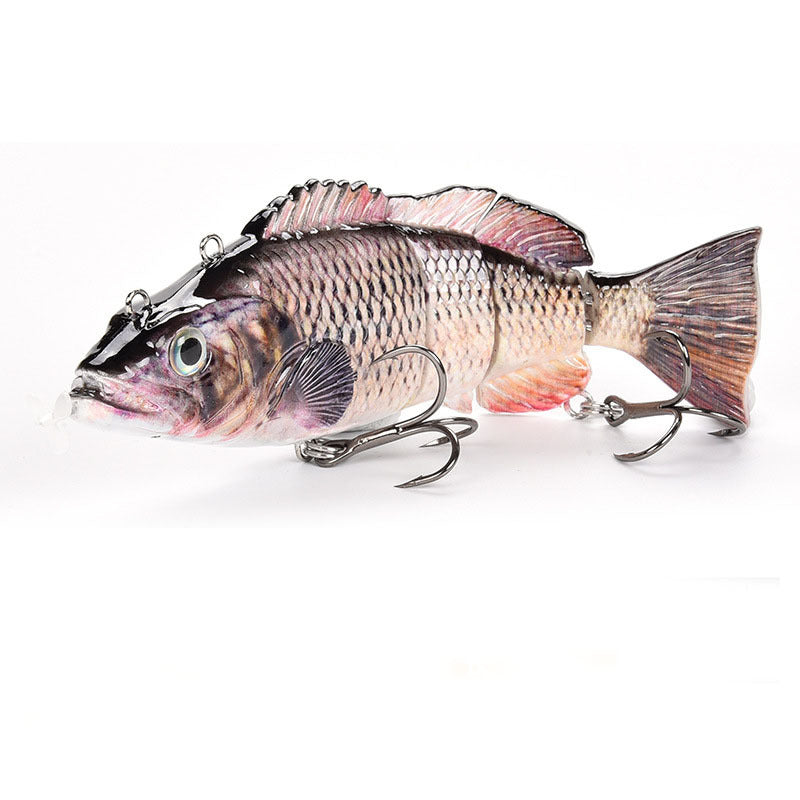 Fishing Baits & Lures 