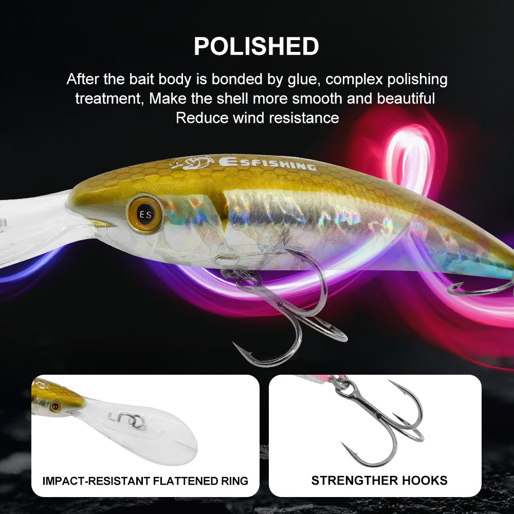 Fishing Baits & Lures 