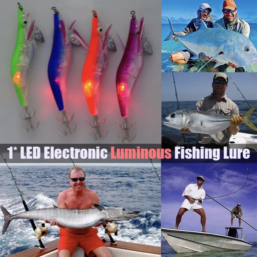 Fishing Baits & Lures