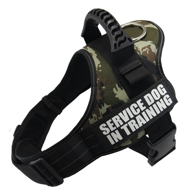 Pet Collars & Harnesses