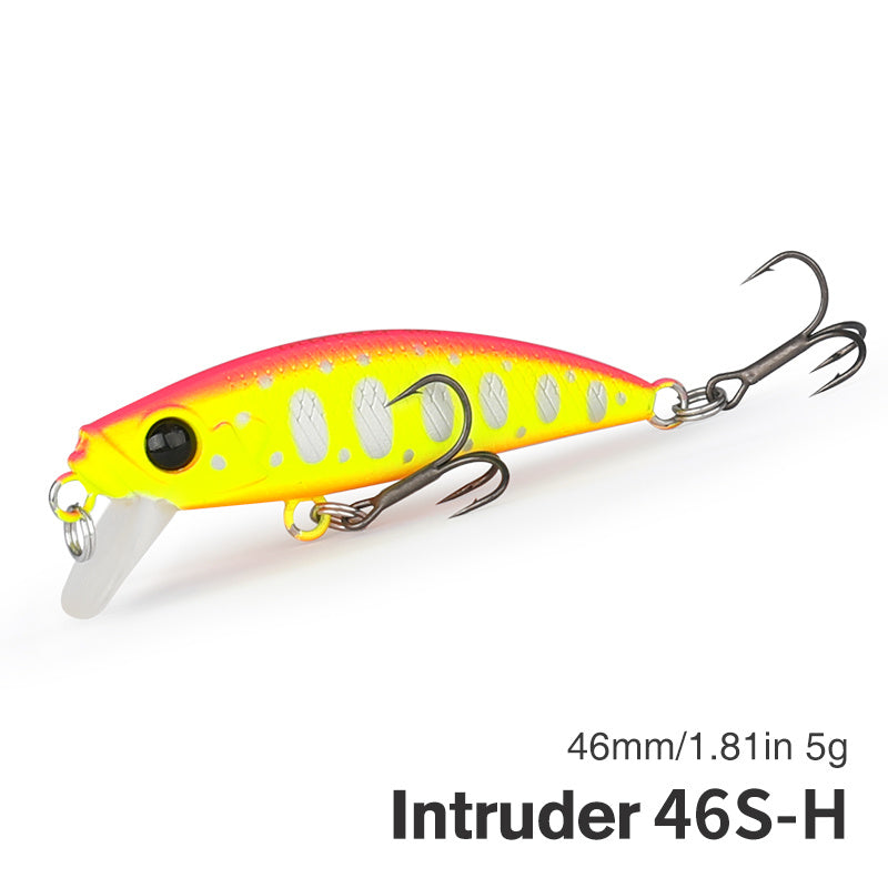 Fishing Baits & Lures