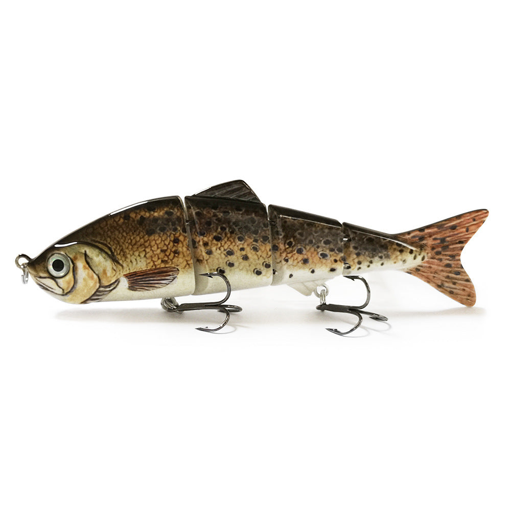 Fishing Baits & Lures 