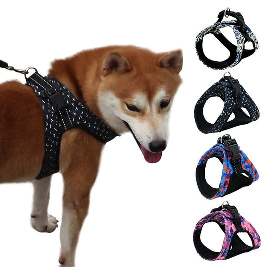 Pet Collars & Harnesses