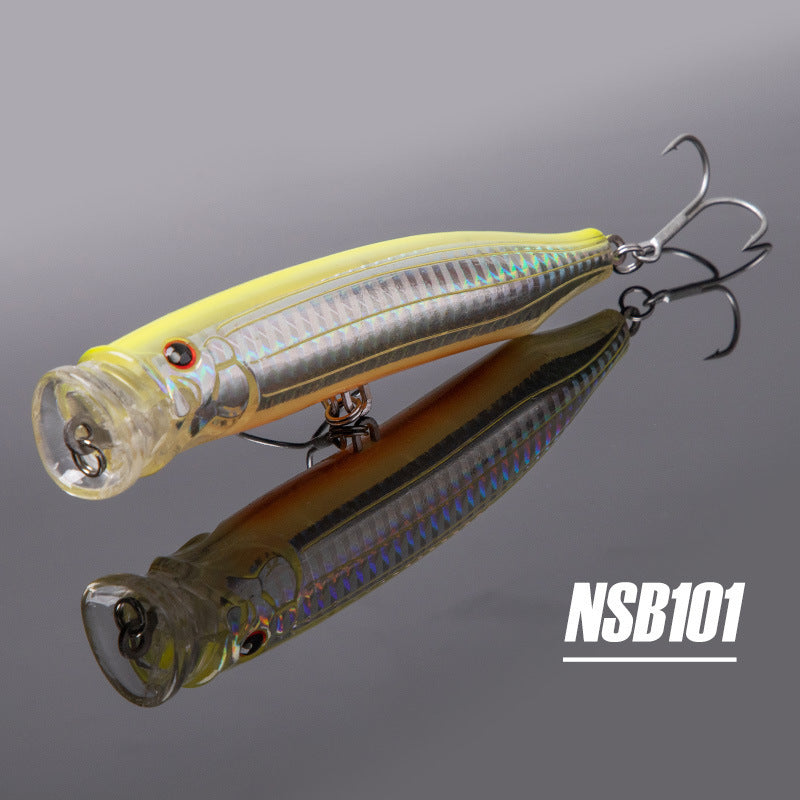 Fishing Baits & Lures