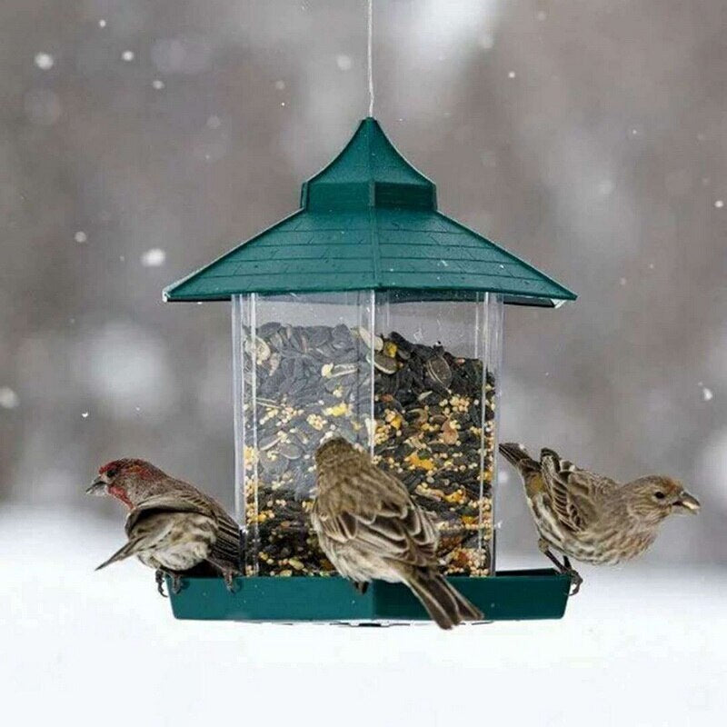 Bird Feeders