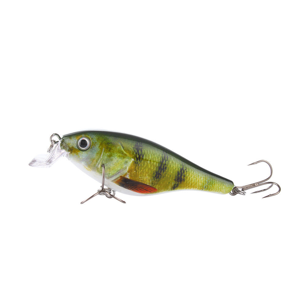 Fishing Baits & Lures