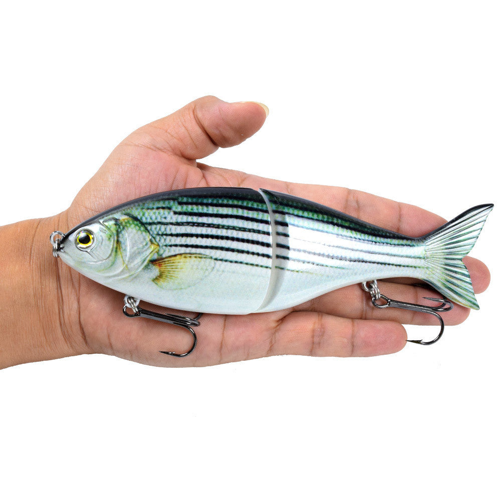 Fishing Baits & Lures