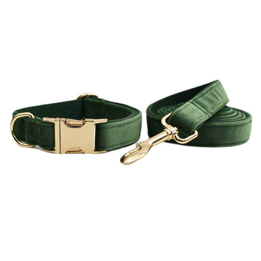 Pet Collars & Harnesses