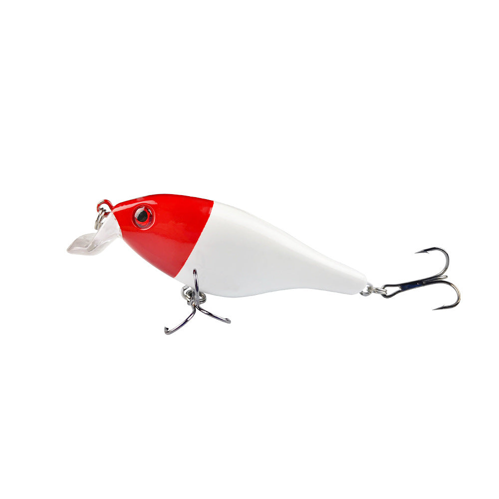 Fishing Baits & Lures