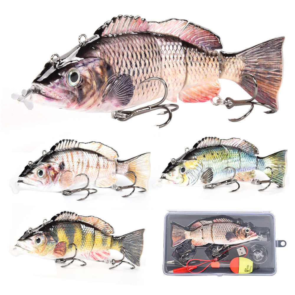 Fishing Baits & Lures 