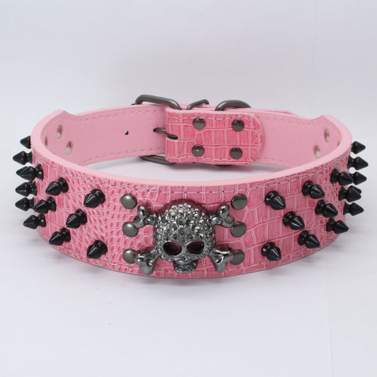 Pet Collars & Harnesses