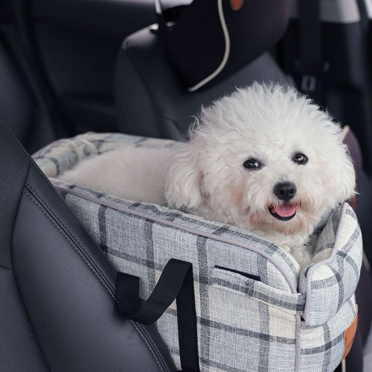 Pet Carriers & Crates