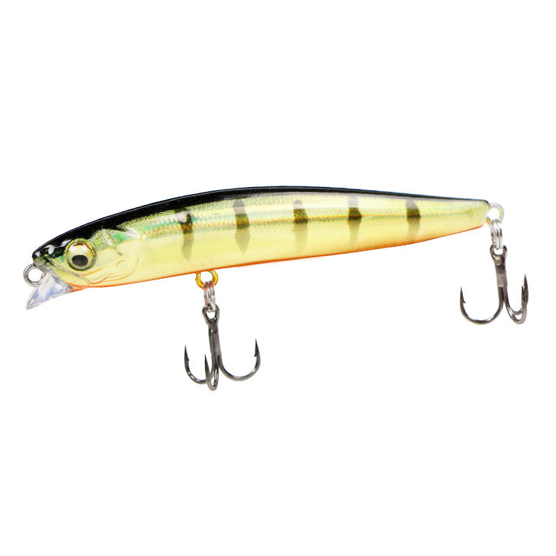 Fishing Baits & Lures