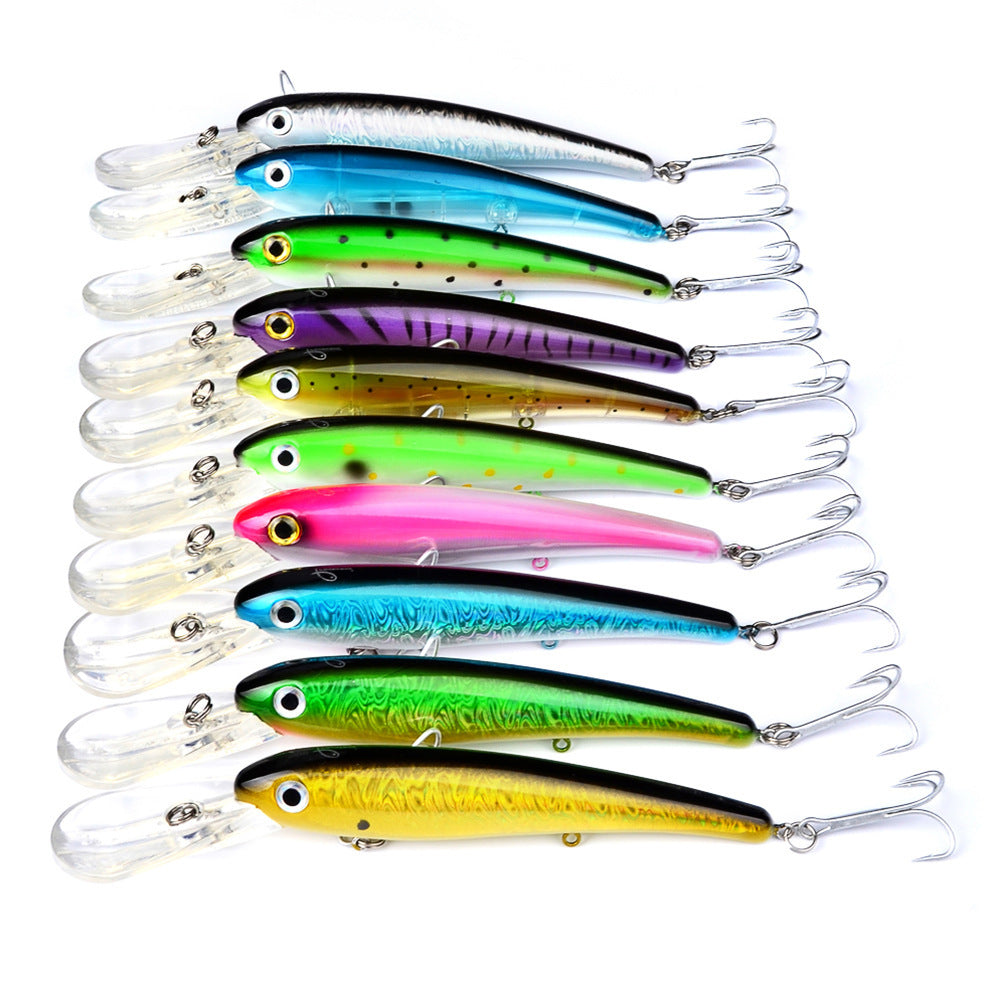 Fishing Baits & Lures