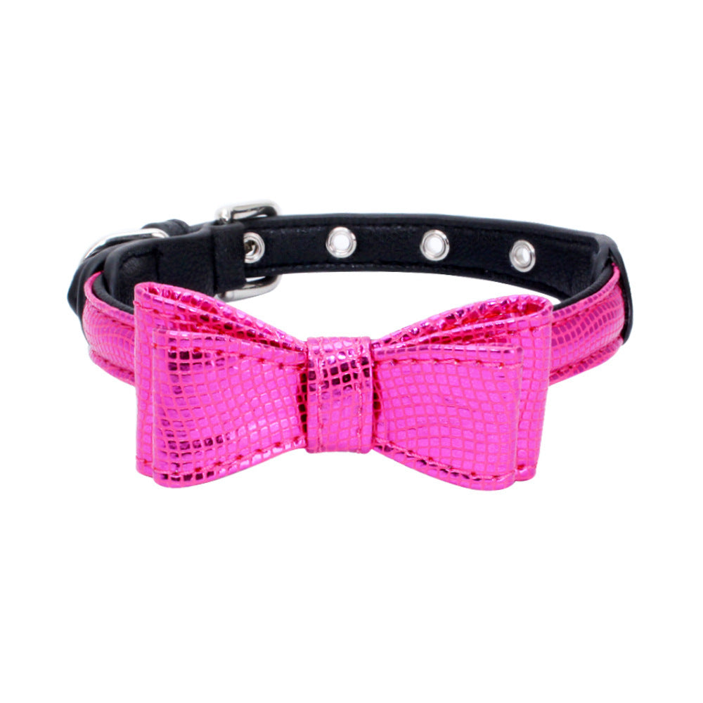 Pet Collars & Harnesses