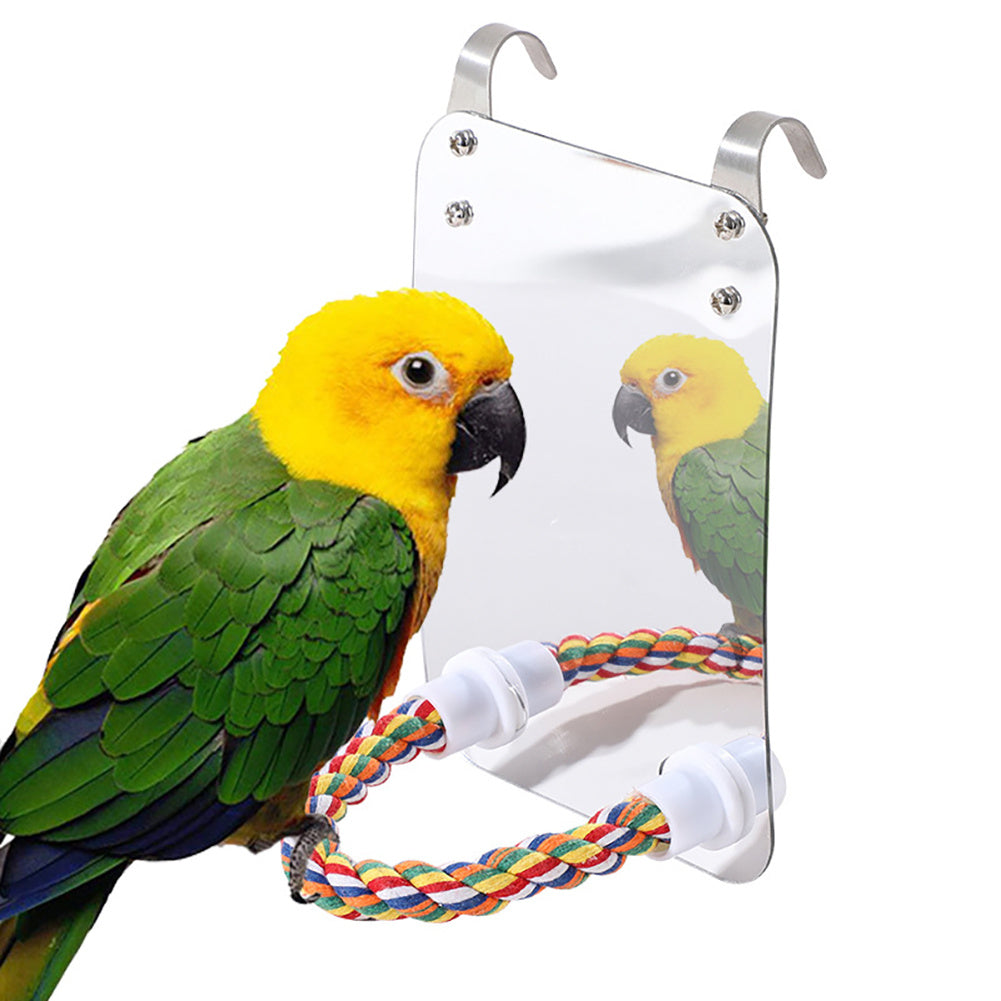 Bird Toys