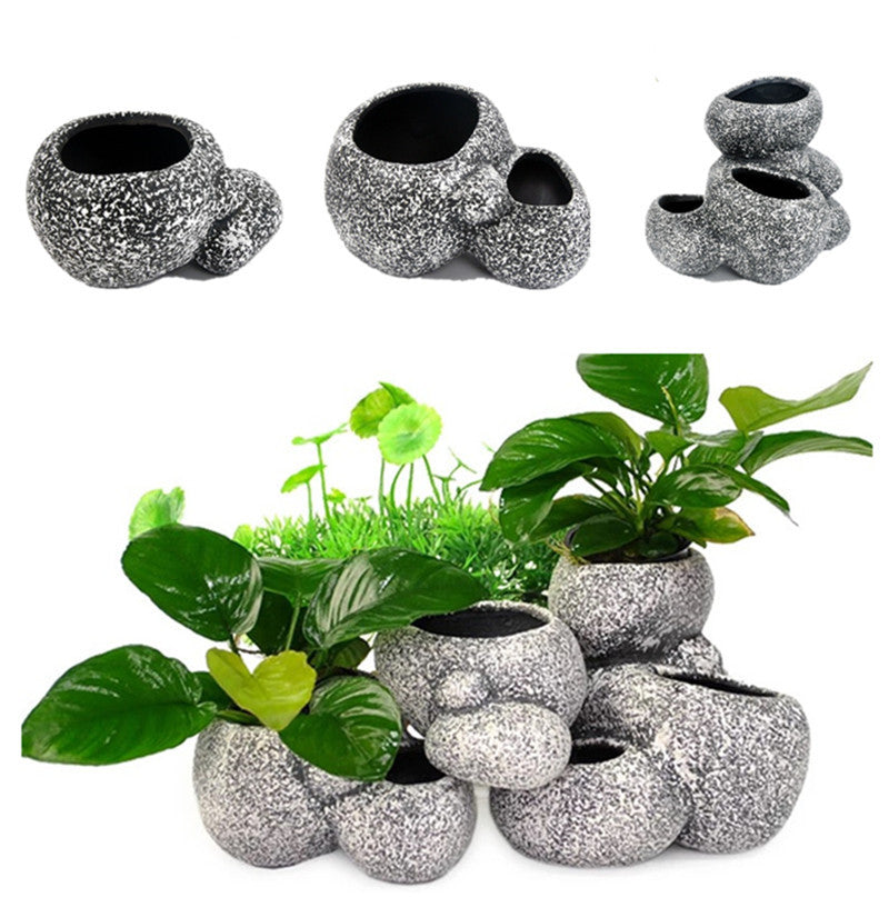 Pots & Planters