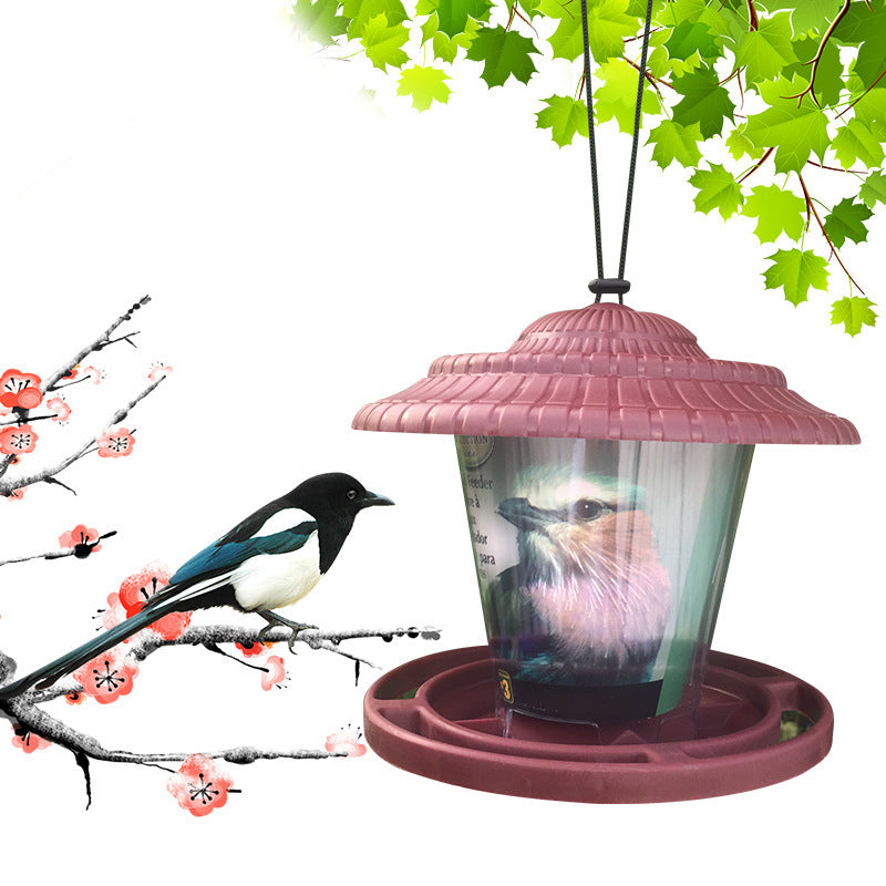 Bird Feeders