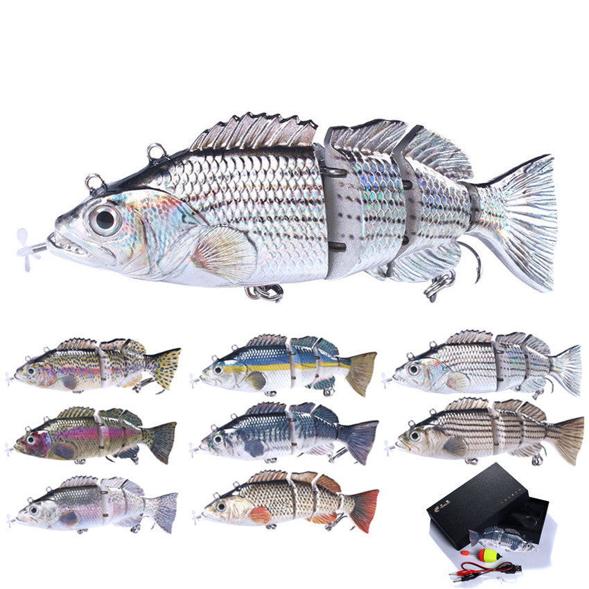 Fishing Baits & Lures