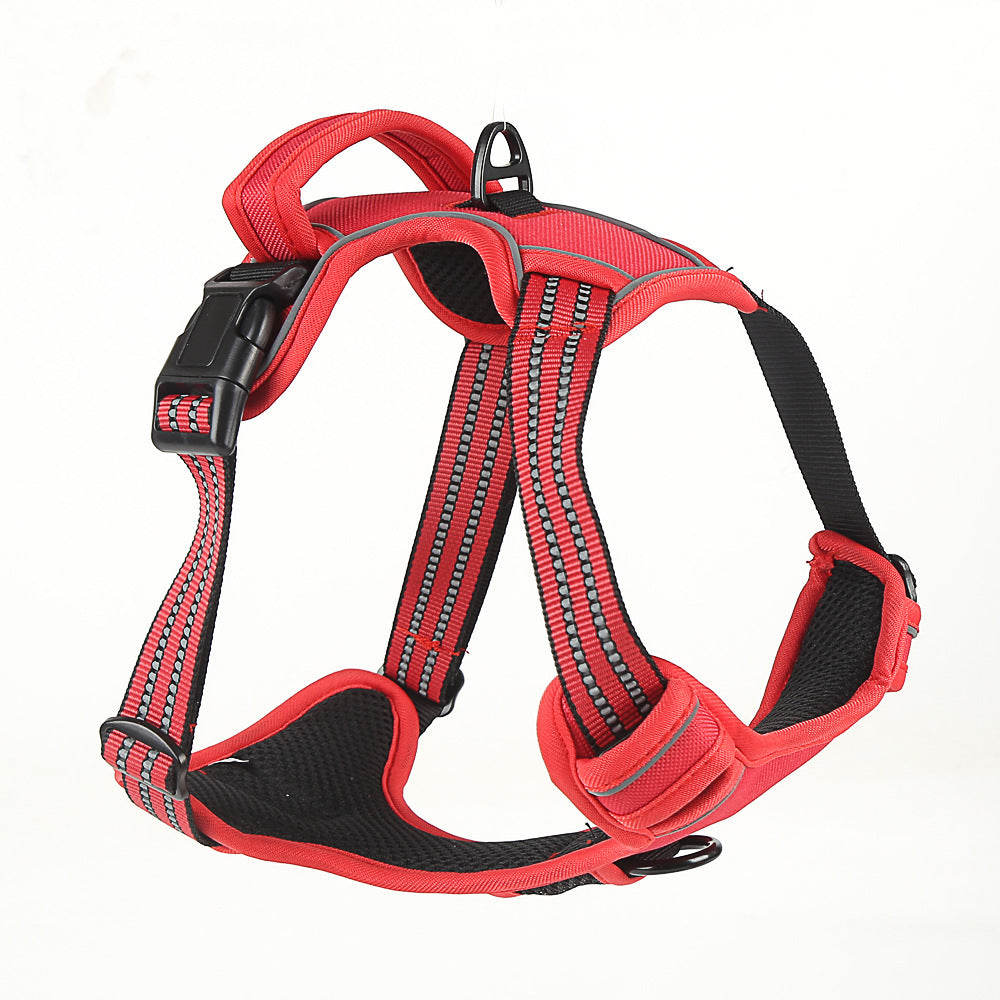 Pet Collars & Harnesses