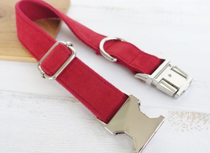 Pet Collars & Harnesses