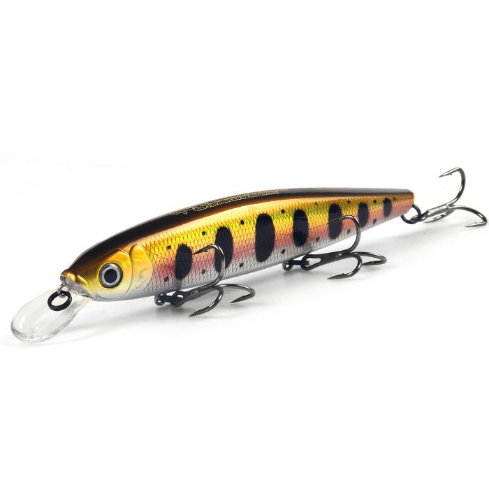 Fishing Baits & Lures