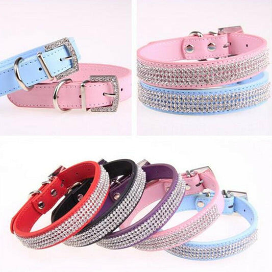 Pet Collars & Harnesses