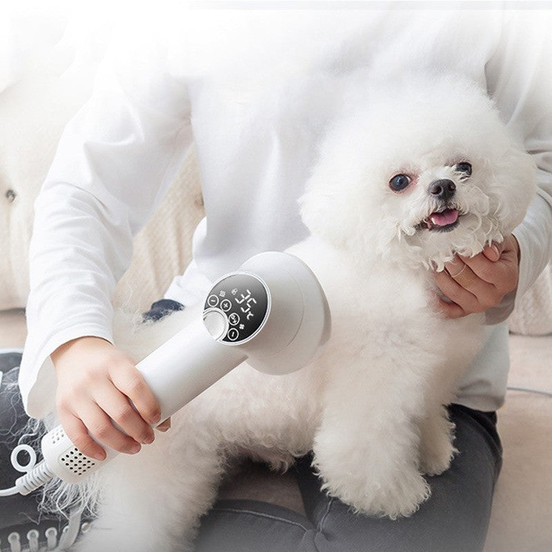 Pet Hair Dryer