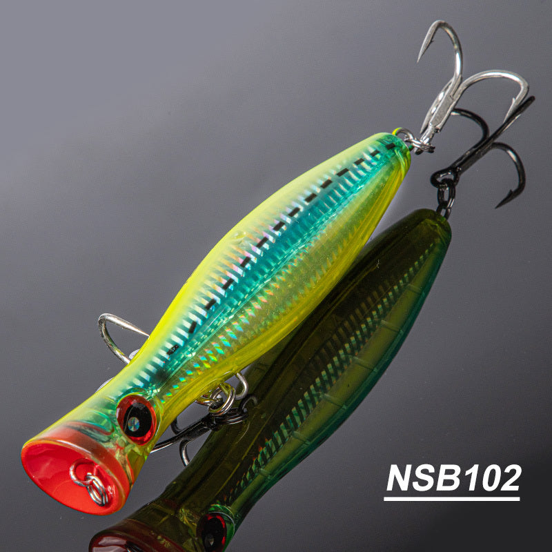 Fishing Baits & Lures 