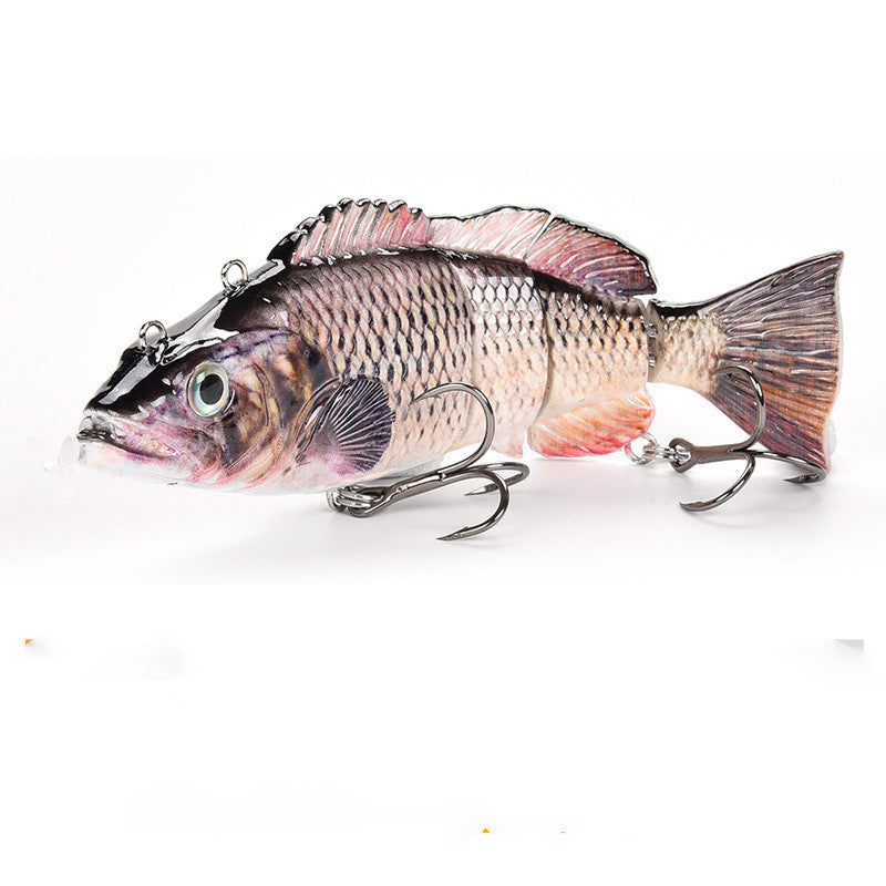 Fishing Baits & Lures