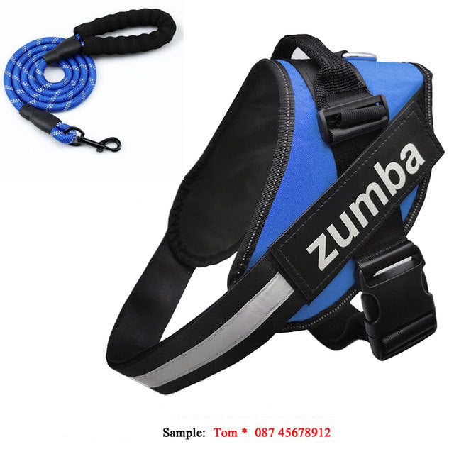 Personalized Dog Harness and Leash Set