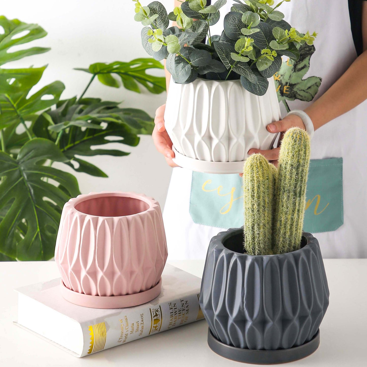 Pots & Planters