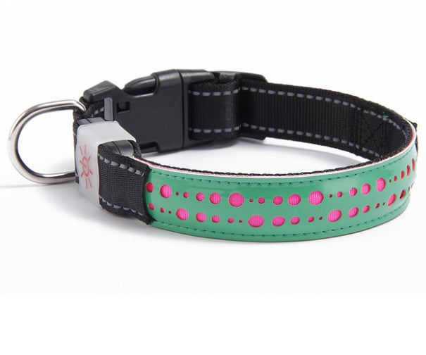 LED light collar