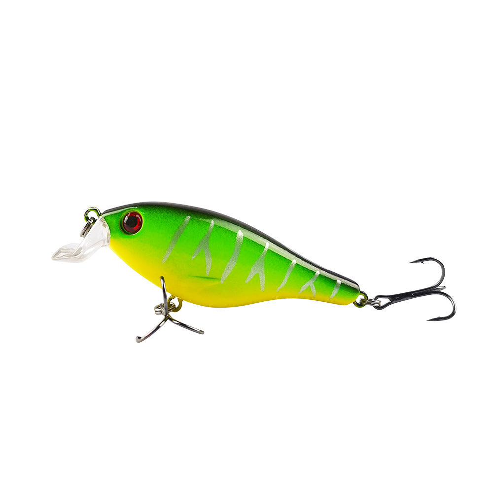 Fishing Baits & Lures