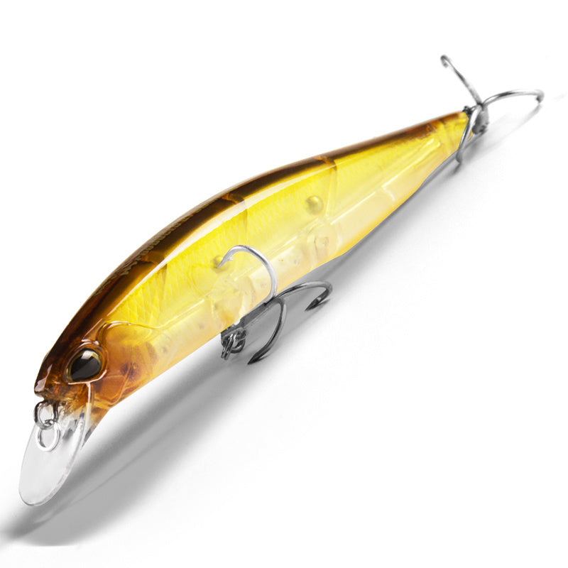 Fishing Baits & Lures 