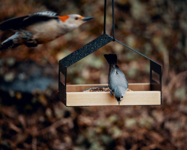 Bird Feeders