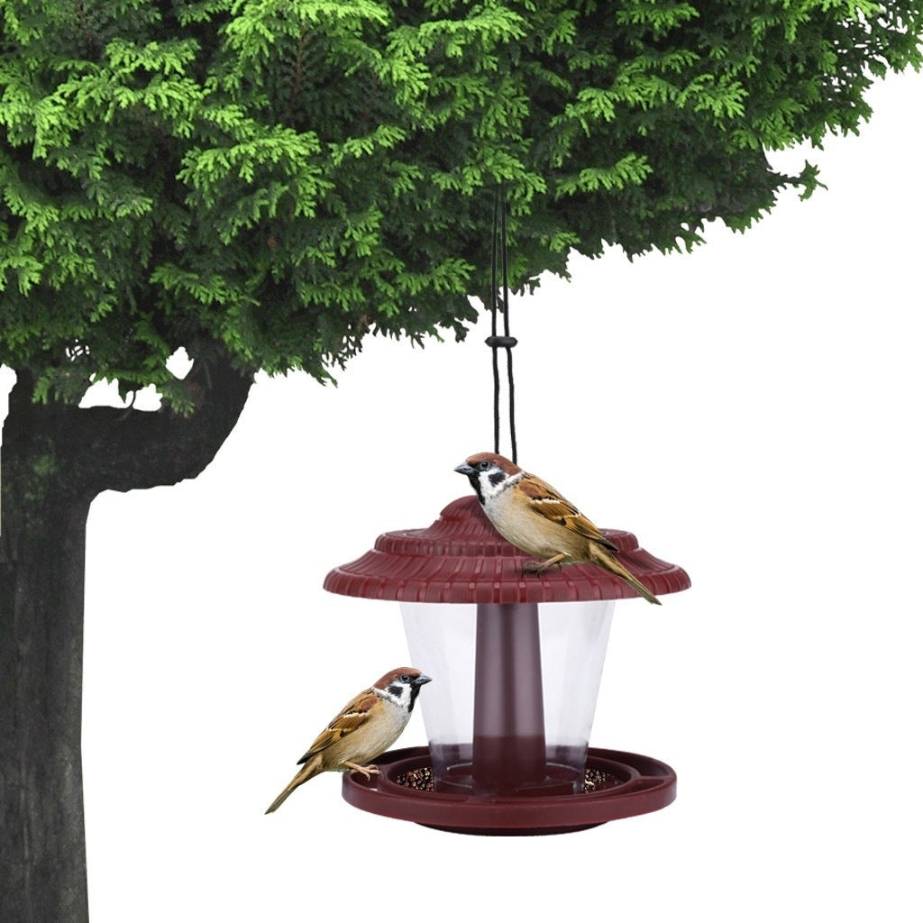 Bird Feeders