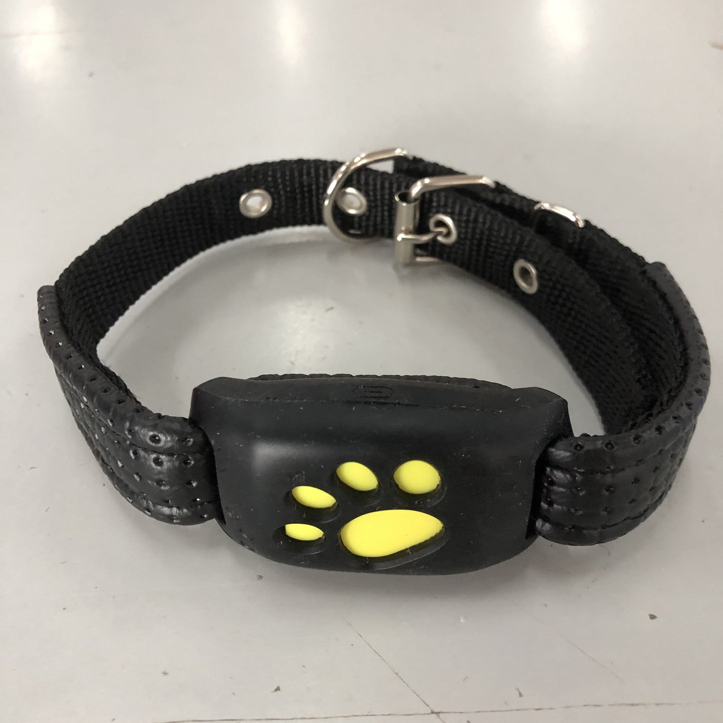 Pet Leashes