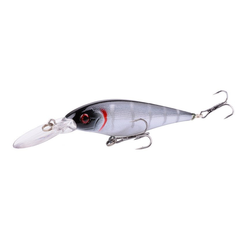 Fishing Baits & Lures