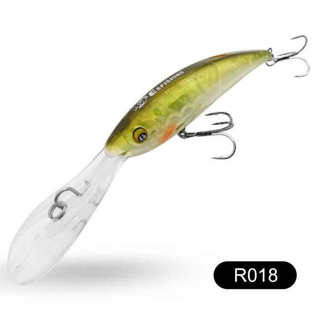 Fishing Baits & Lures 