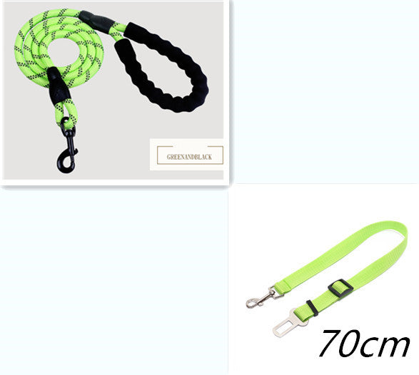 Pet Collars & Harnesses