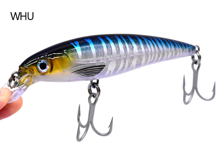 Fishing Baits & Lures